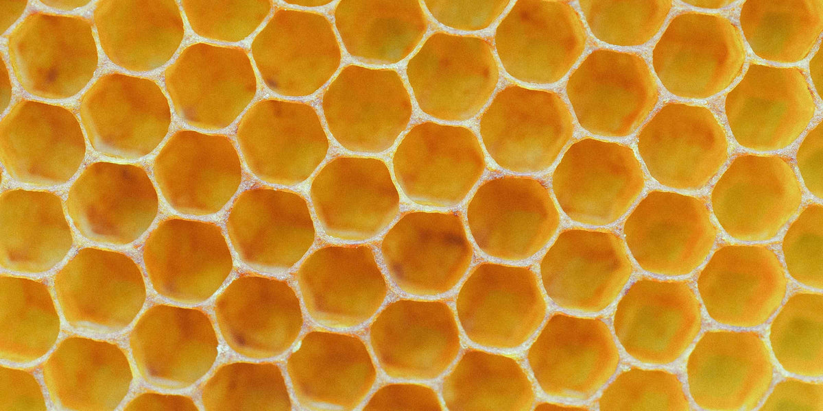 Aeolis Beeswax