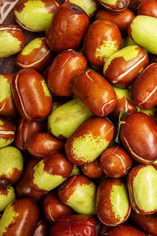 A close-up pile of jojoba seeds with smooth, glossy skins.