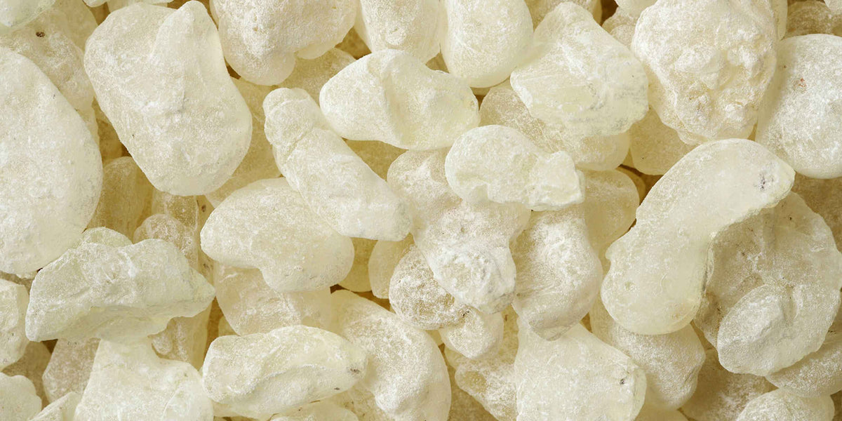 Aeolis Mastic