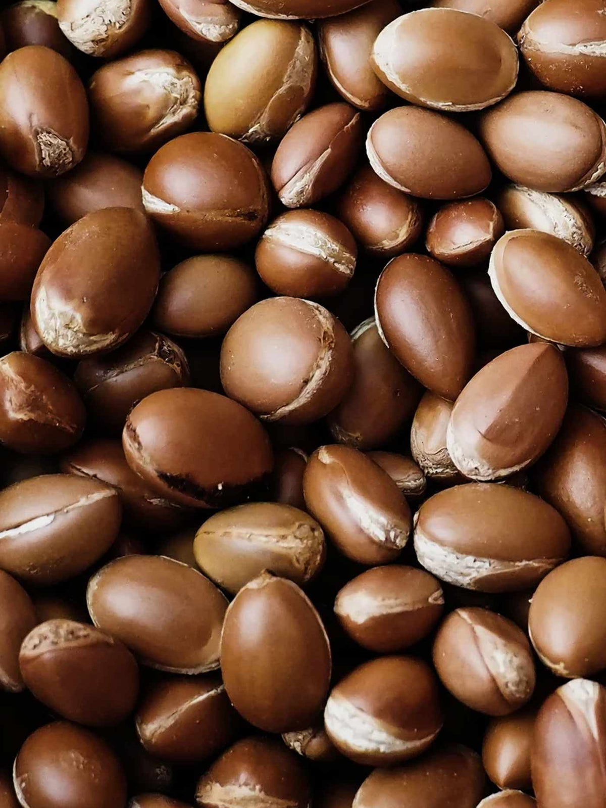 A close-up pile of smooth, oval argan oil nuts with some cracked shells showing lighter tan interiors.