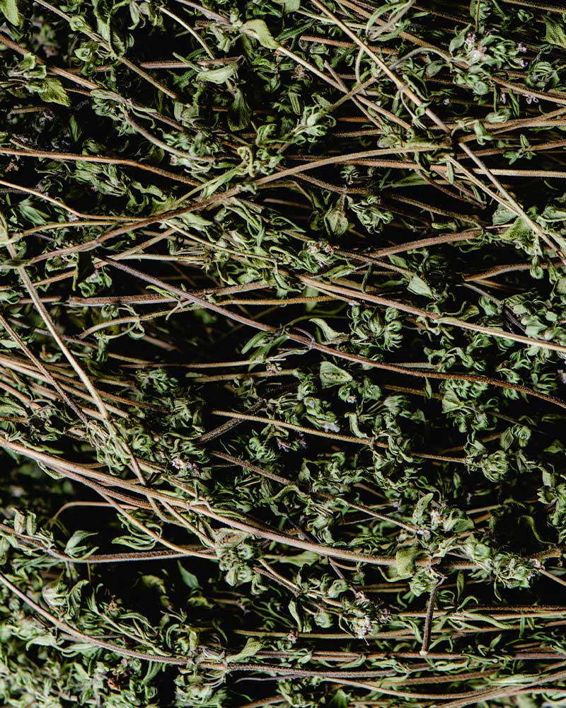 A close-up texture shot of dried green leaves and thin brown stems layered over a dark black background.