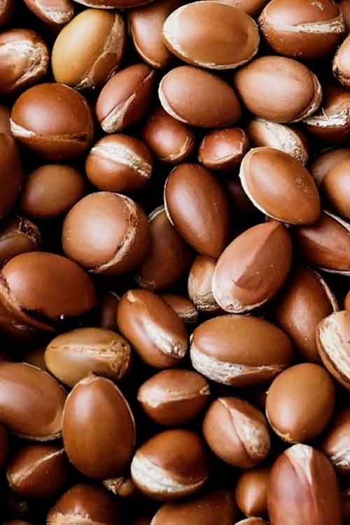 Argan nuts with a glossy finish, filling the entire frame.