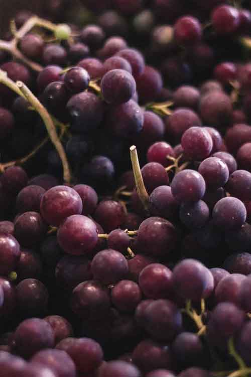 Close-up of clusters of dark purple grapes with stems, filling the frame.