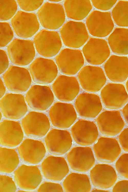 A close-up texture shot of honeycomb cells filled with golden yellow honey.